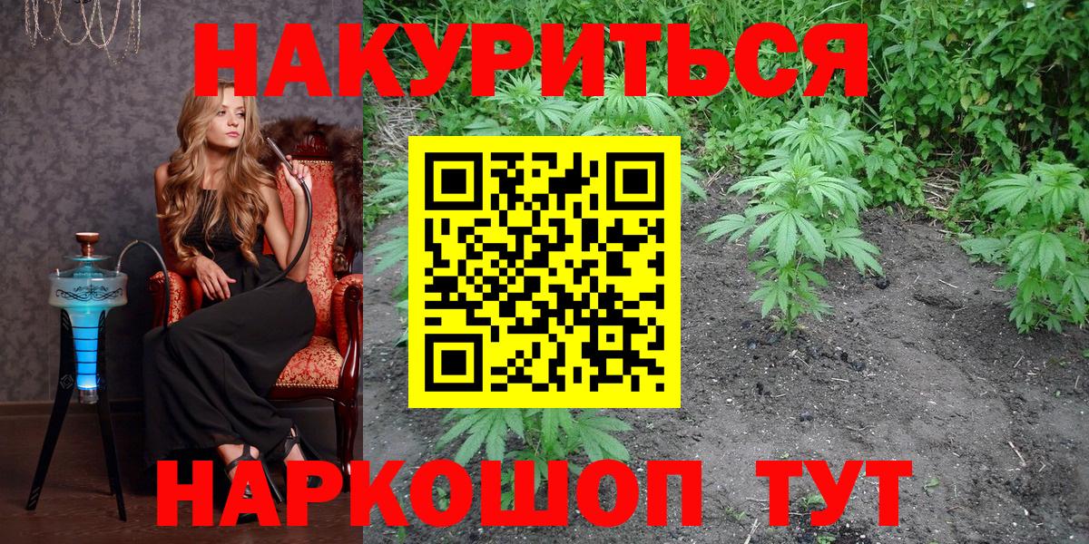 Конопля план Чапаевск